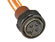 multi chanel ferrule